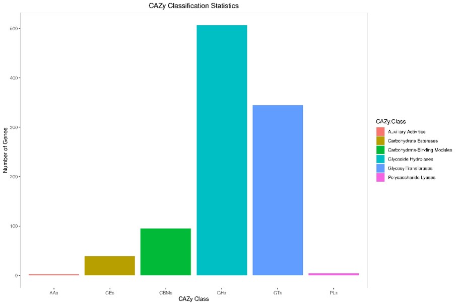 CAZy functional classification of carbohydrate-active enzymes.