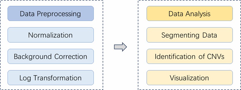 The Data Analysis Pipeline of CGH Microarray.