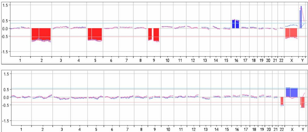 The CGH Microarray Results Display Figure.