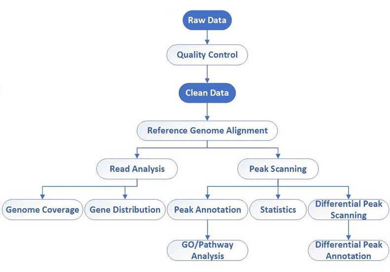 Workflow for 16S, 18S, and ITS Amplicon Sequencing Services