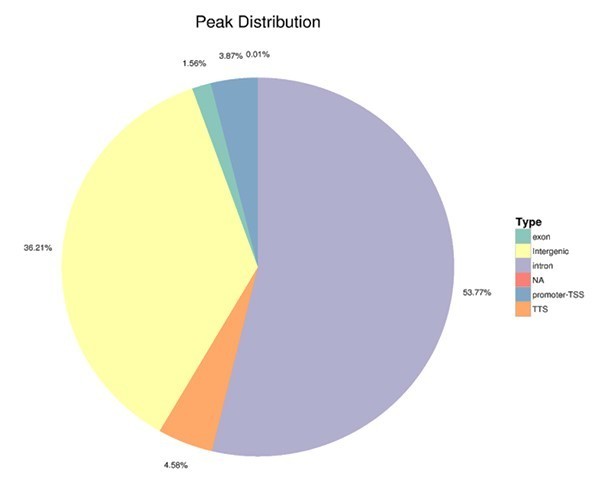 Genomic distribution of identified ChIP-seq peaks
