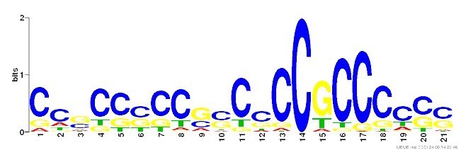 Identification of enriched DNA-binding motifs