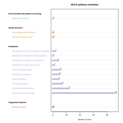 KEGG pathway classification for CLC_vs_SLC comparison.