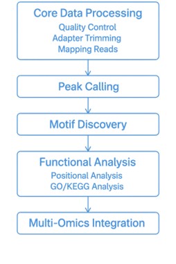 CLIP-seq Bioinformatics workflow