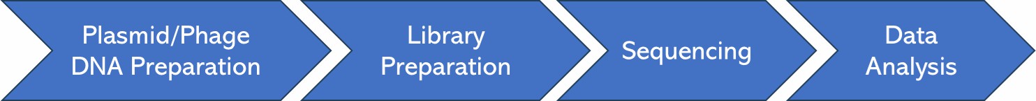 Workflow of Complete Plasmid/Phage Sequencing.