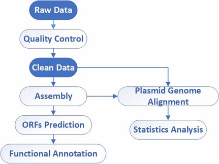 The Data Analysis Pipeline of Complete Plasmid/Phage Sequencing.