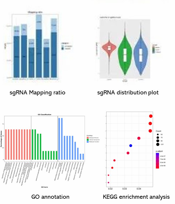 The CRISPR Screen Sequencing Results Display Figure.