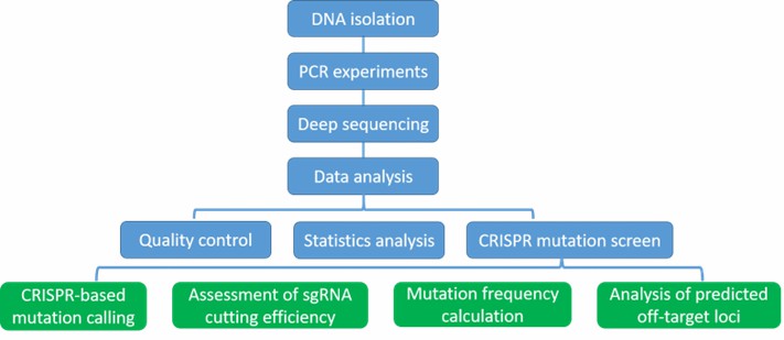 The Data Analysis Pipeline of CRISPR Sequencing.