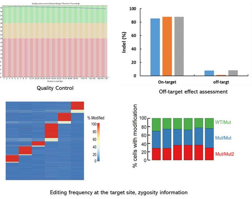 The CRISPR Sequencing Results Display Figure.