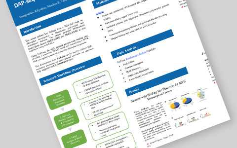 Power Your Regulatory Discoveries with DAP-seq: A MYB–GLK Case Study