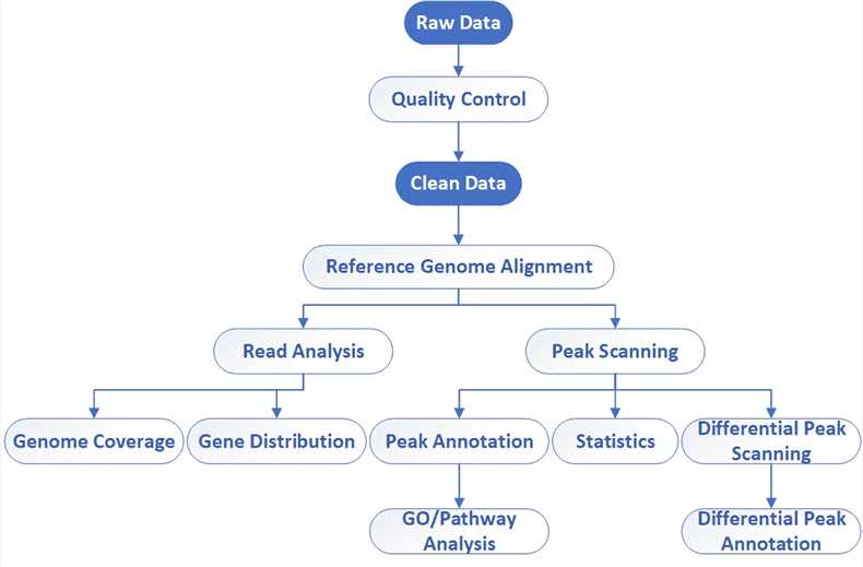 The Data Analysis Pipeline of DAP-seq. 