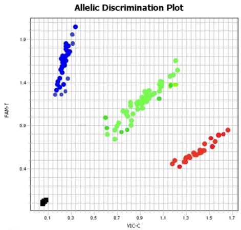 The Taqman SNP Genotyping Results Display Figure.