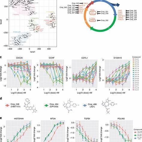 DRUG-seq Mechanistic Clustering