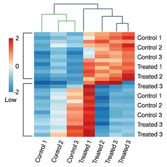 Gene Expression Heatmap of DRUG-seq