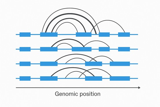 Splicing / Isoform Plot of Full-Length  DRUG-seq