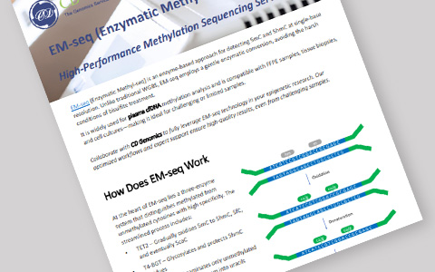 EM-seq Services for High-Resolution DNA Methylation Analysis