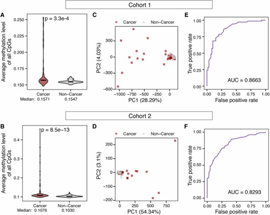 Differential cfDNA methylation between cancer and non-cancer samples facilitates precise cancer detection. ( Li, Y. et al., 2024) 