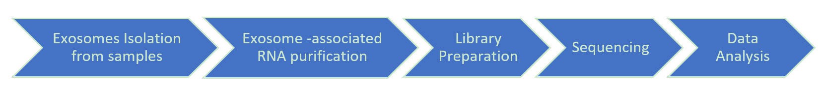 Workflow Diagram of Exosomal RNA Sequencing.