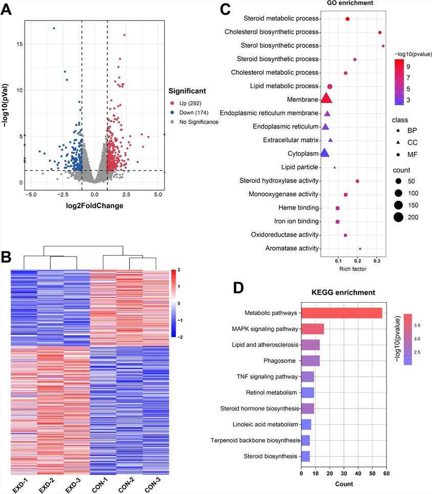 Fig 3. Overview of transcriptomic changes in mouse liver. (Shen et al., 2023)