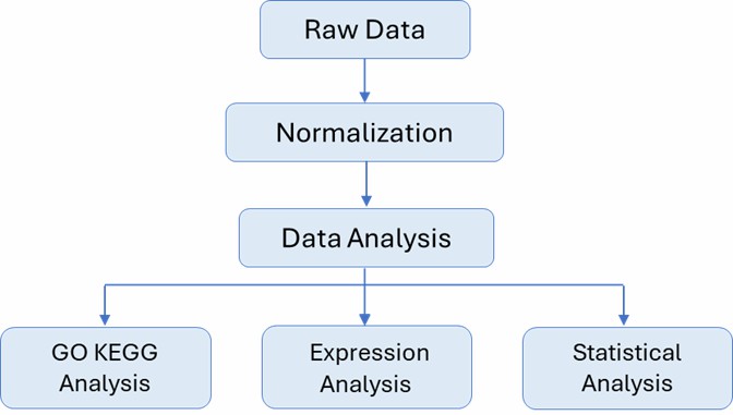 The Data Analysis Pipeline of Gene Expression Profiling Microarray Service.