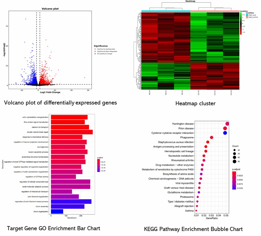 The Gene Expression Profiling Microarray Service Results Display Figure.