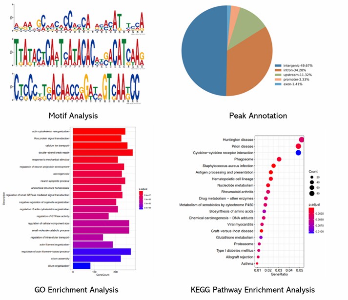 The ChIP-on-chip Service Results Display Figure.