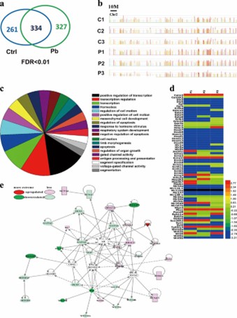 Fig. 1: Pb exposure induces genome-wide redistribution of H3K27me3 in hippocampal neurons. (Gu et al., 2019)