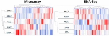Figure 3. Hierarchical clustering of genes (columns) and samples (rows) with dendrograms and clusters highlighted (blue bars). (Rao et al., 2019)