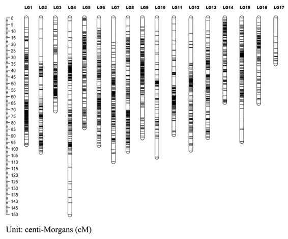 Figure 1. Genetic linkage map (Yuhui Zhao, et al. 2020)