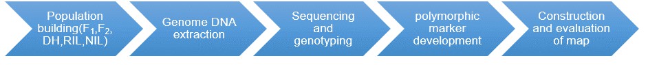 Workflow Diagram of Genetic Linkage Map.