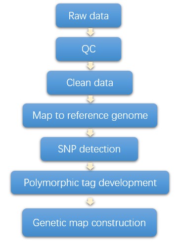 The Data Analysis Pipeline of Genetic Linkage Map.