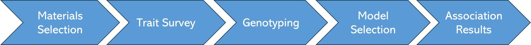 The Workflow of GWAS.