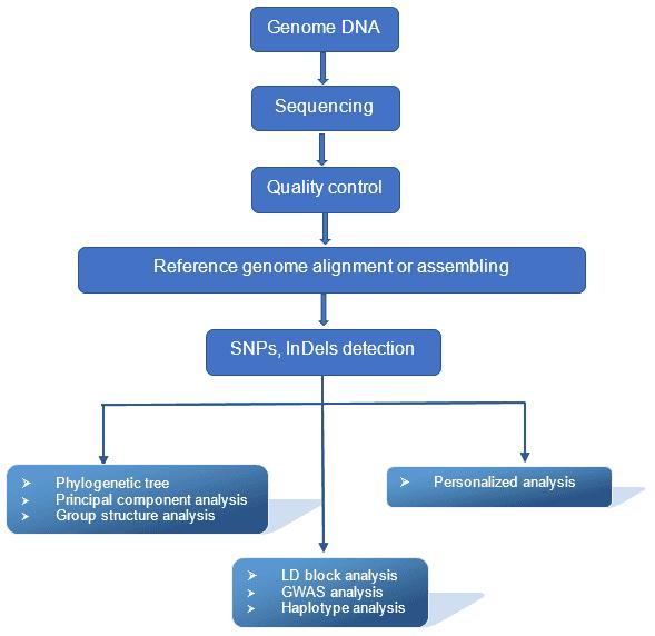 The Data Analysis Pipeline of GWAS.