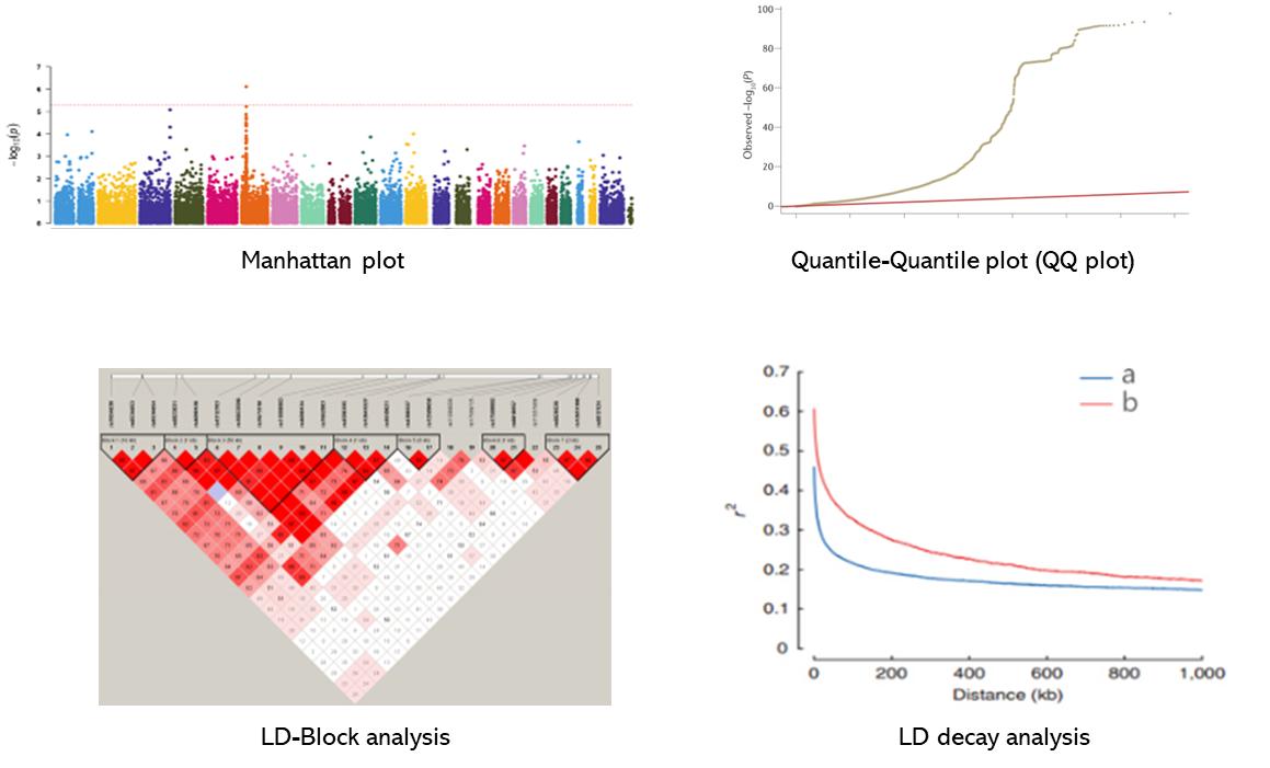 The GWAS Results Display Figure.	