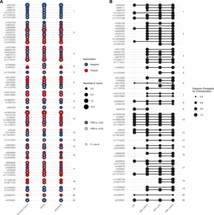 Fig. 3: Outcomes of the multivariate genome-wide association study. (Levin et al., 2022)