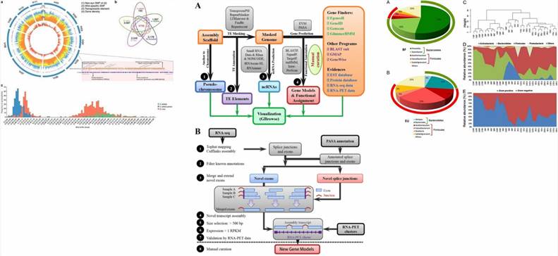 Genomic Data Analysis Results Display Image.