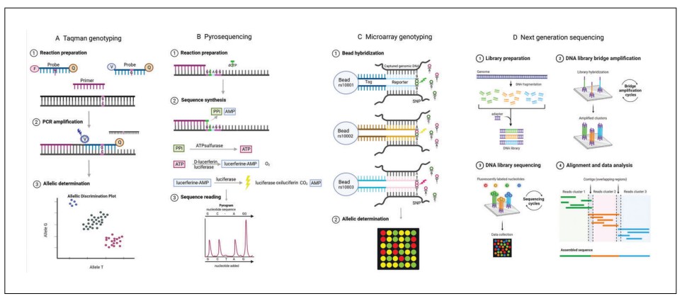 Figure 2. Different genotyping methods. (Kockum et al., 2023)