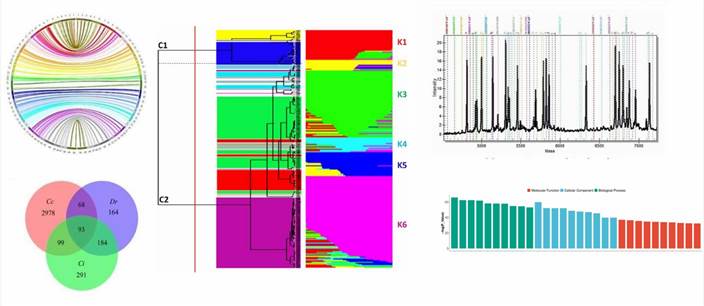 The Genotyping Results Display Figure.