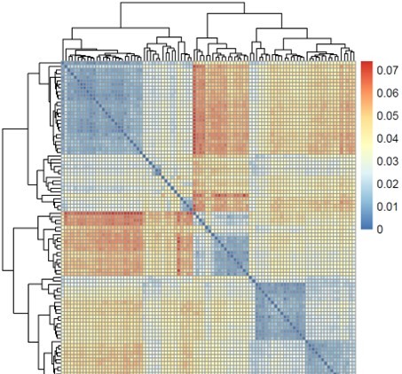 Heatmap depiction showing expression levels or variant frequencies across different conditions.