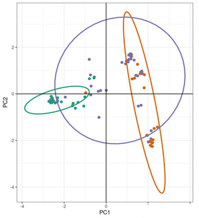 Principal Component Analysis illustrating genetic diversity within the sample set.