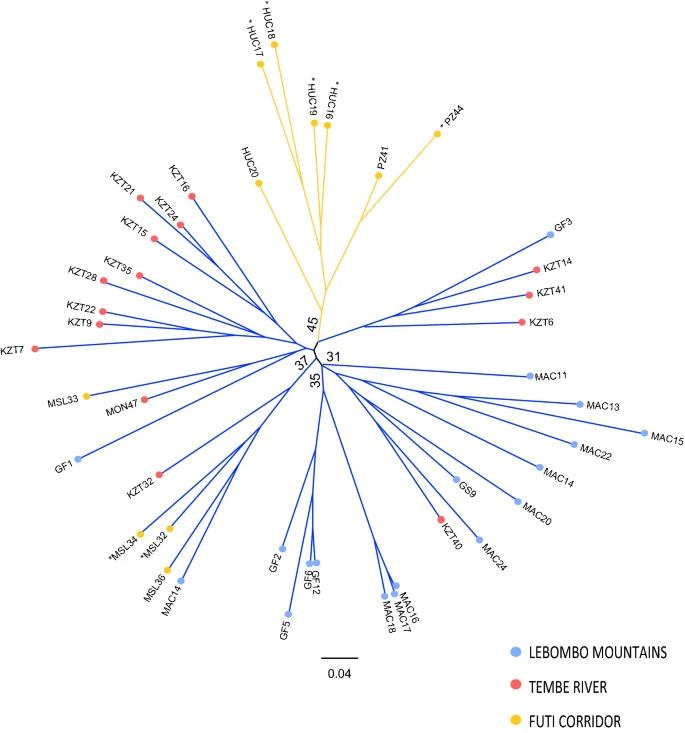 Fig. 2. Unrooted neighbor-joining tree of Warburgia salutaris based on Nei’s Da genetic distance. (Senkoro et al., 2020)