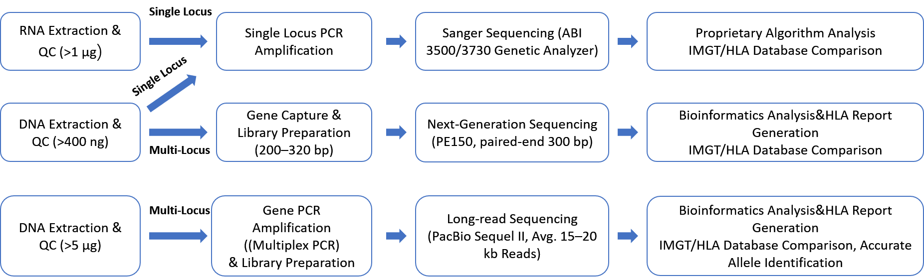 HLA typing procedures utilizing various CD Genomics platforms