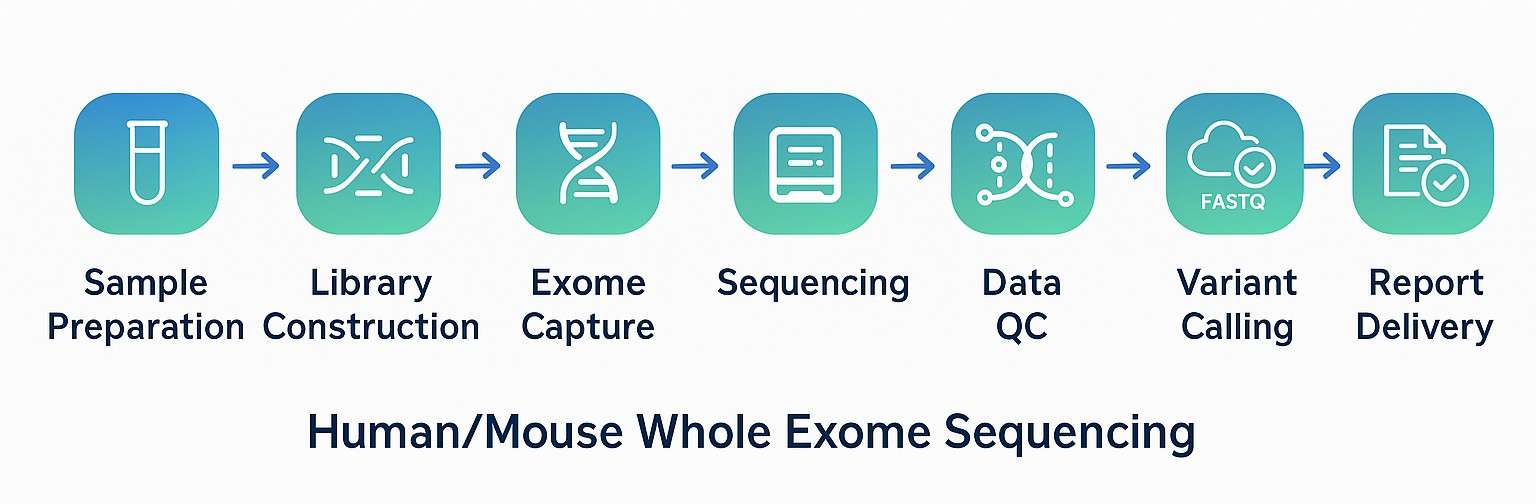 Human/Mouse Whole Exome Sequencing Workflow