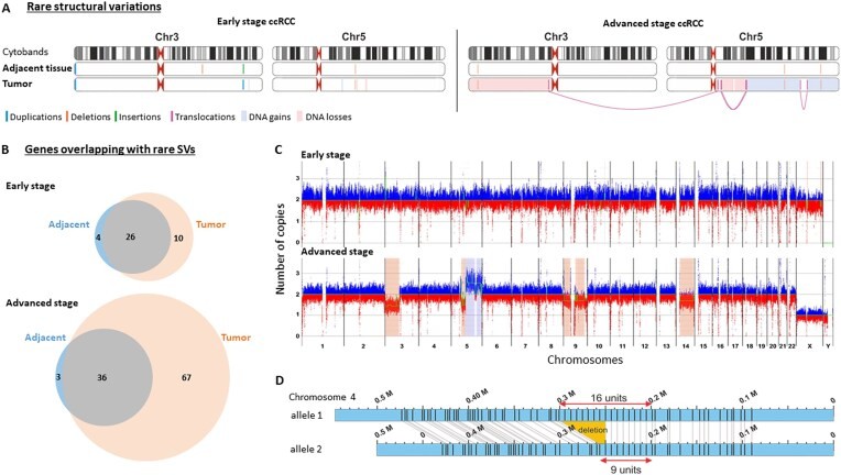 Table – Distribution and frequency of donor HLA alleles in the U.S. population