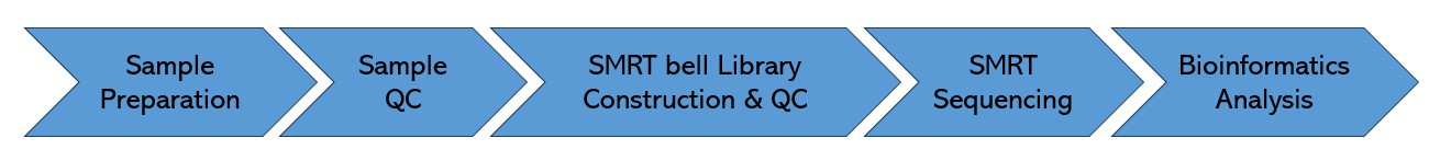 Workflow Diagram of Human Whole Genome PacBio SMRT Sequencing.