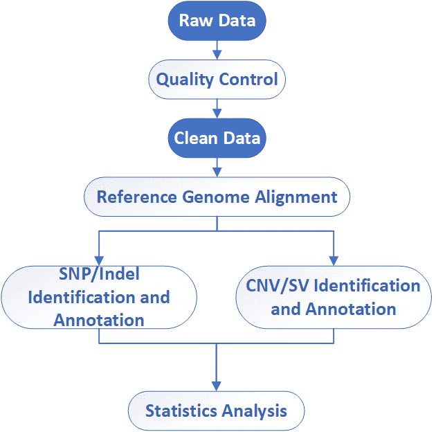 The Data Analysis Pipeline of Human Whole Genome PacBio SMRT Sequencing.