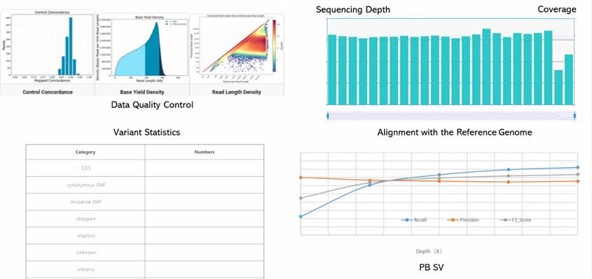 The Human Whole Genome PacBio SMRT Sequencing Results Display Figure.