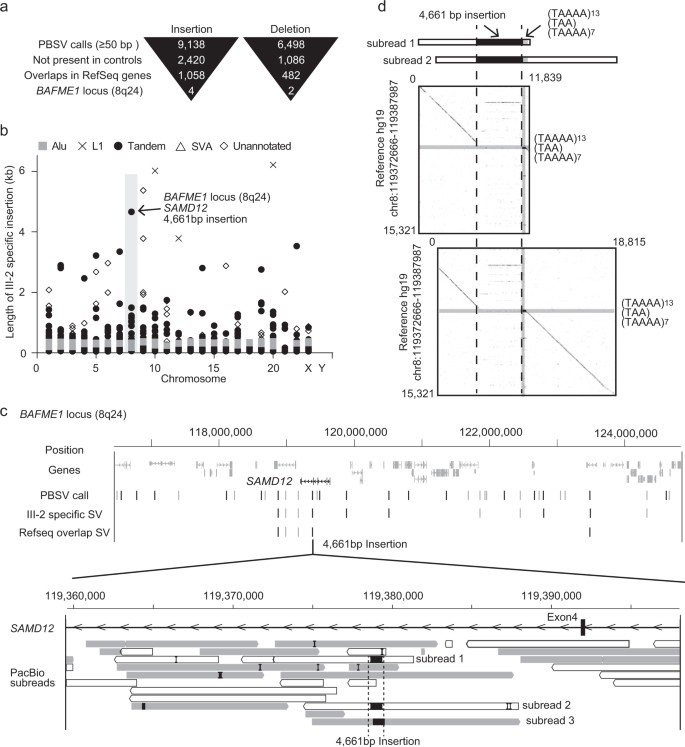 Fig 2. Assessment of long-read whole-genome sequencing. (Mizuguchi et al., 2019)