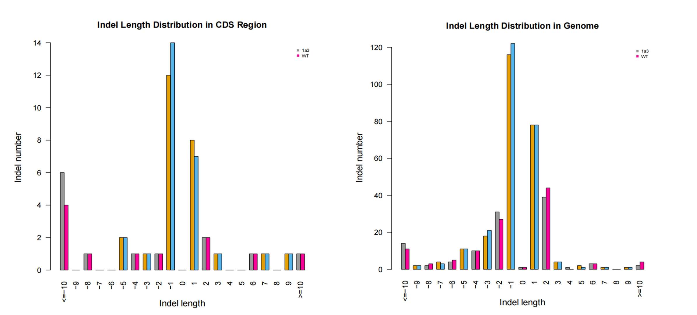 InDel length distribution across the whole genome and CDS.