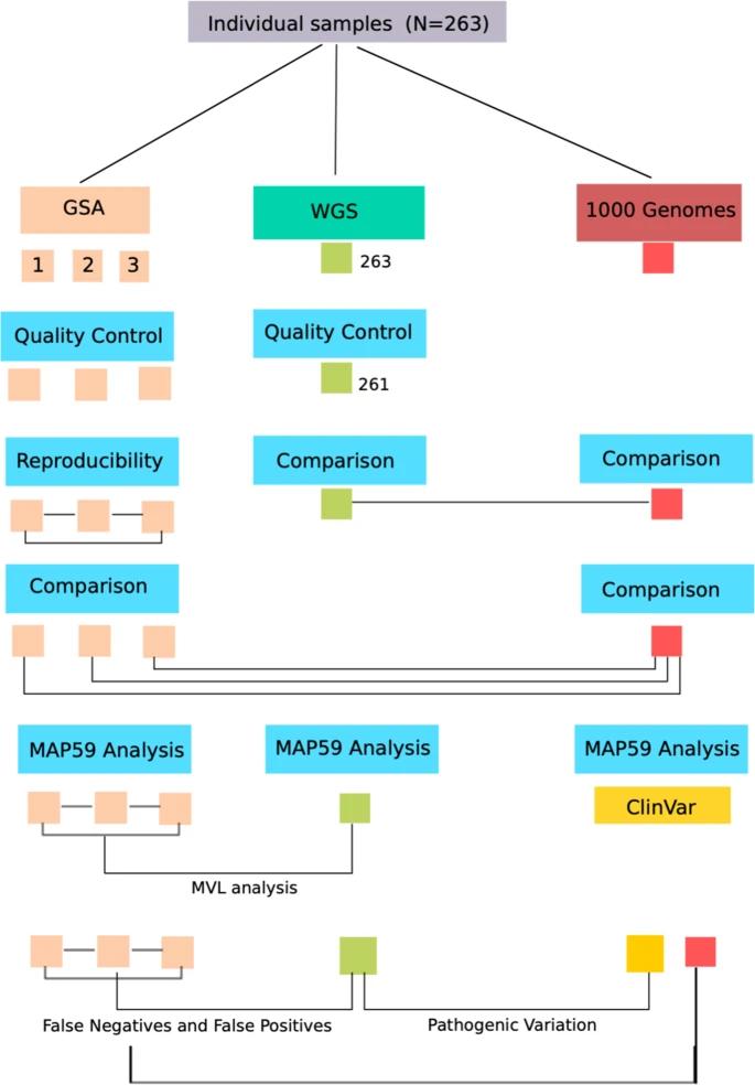 Flow diagram of analytical validation for Illumina Global Screening Array (GSA): triplicate BeadChip genotyping compared to reference wholegenome and benchmark datasets.
